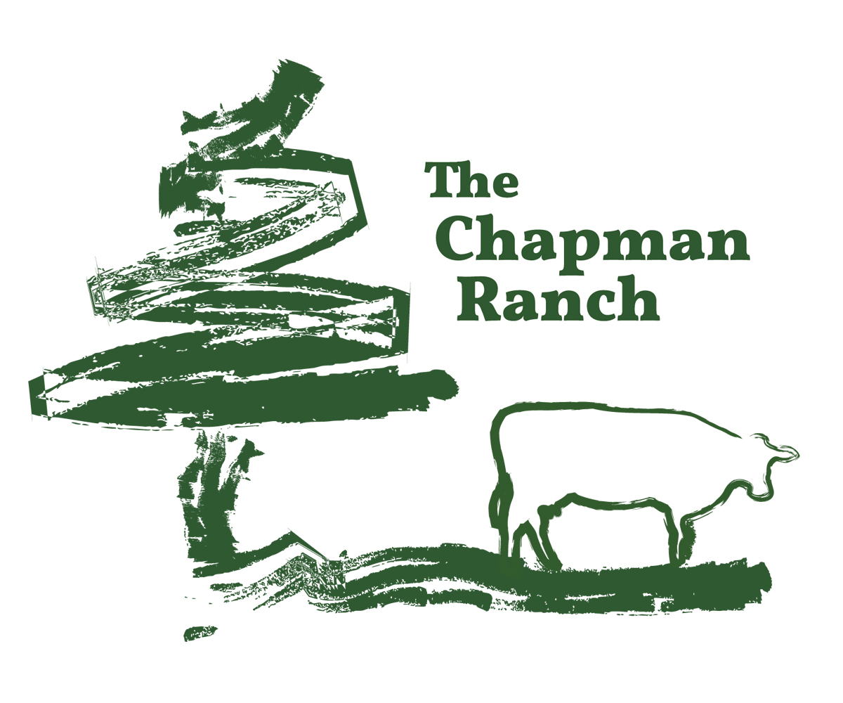 Logo Design by Owl Designs for this project | Design #3230008