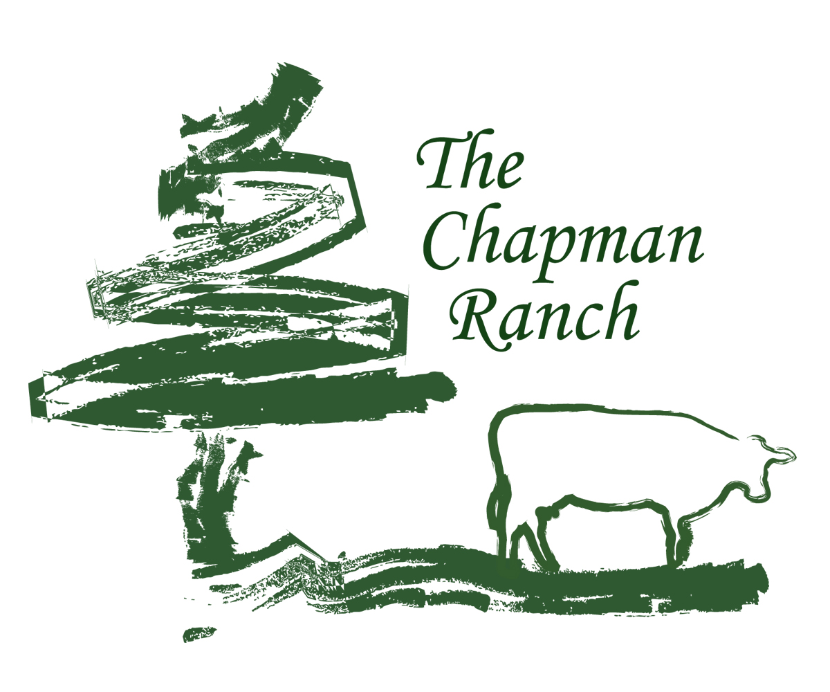 Logo Design by Owl Designs for this project | Design #3230010