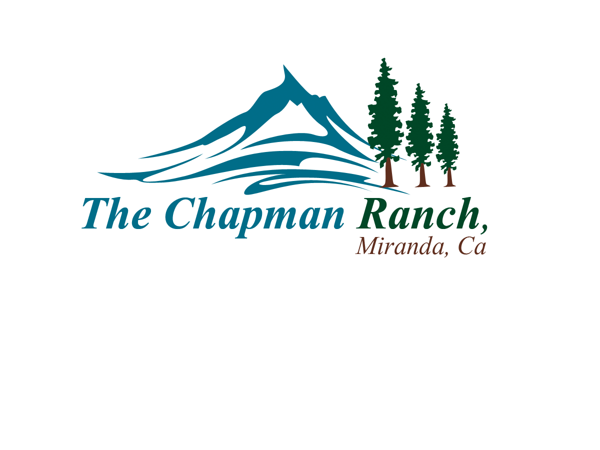 Logo Design by Kiki Hermawan for this project | Design #3191251