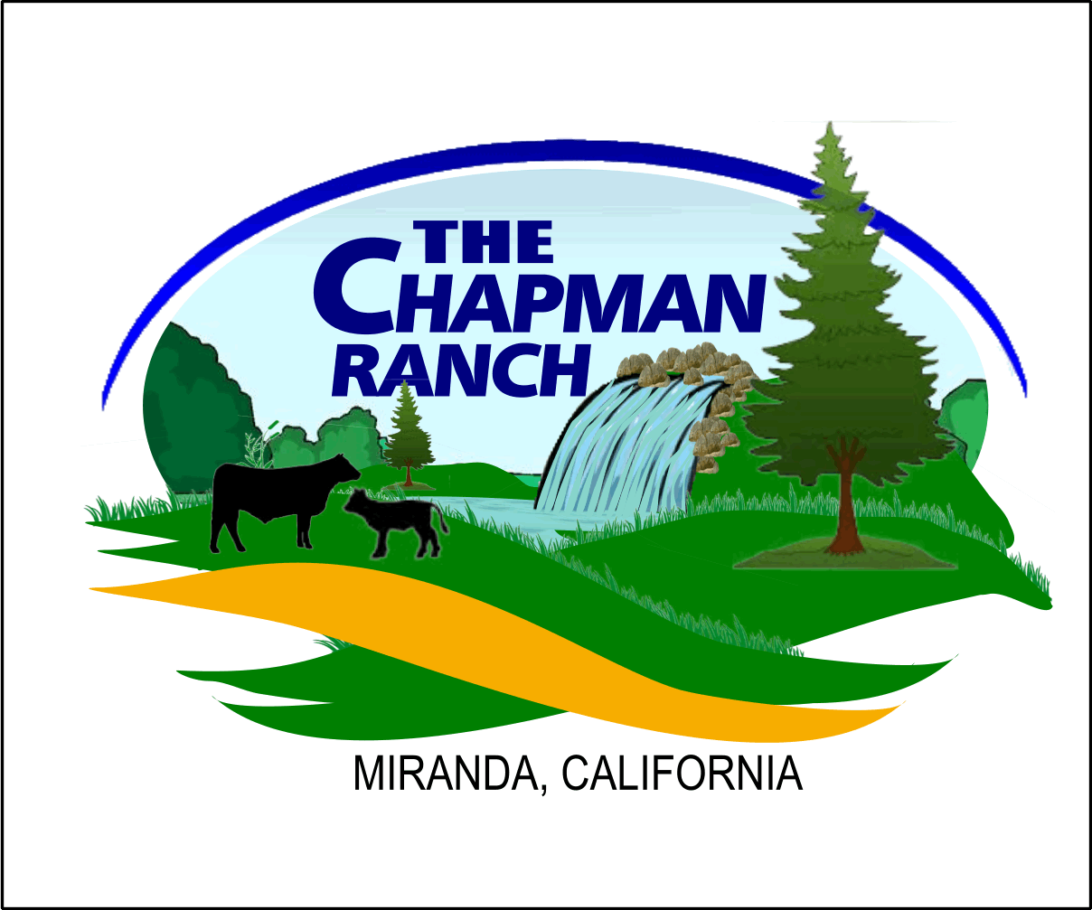 Logo Design by Ken Bradford for this project | Design #3184878