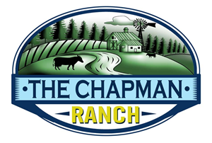 Logo Design by NILDesigns