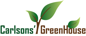 Logo Design by amobrady