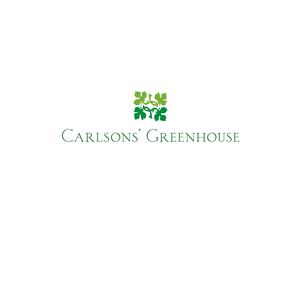 Logo Design by designsf for this project | Design: #3163509