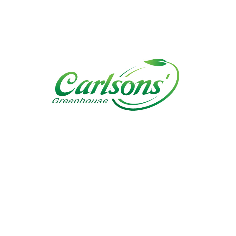 Logo Design by instudio for this project | Design #3165755