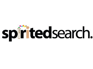 Logo Design by  Rocketweb