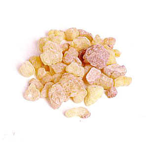 Logo Design by jaxthakur1992 for this project | Design #3172614