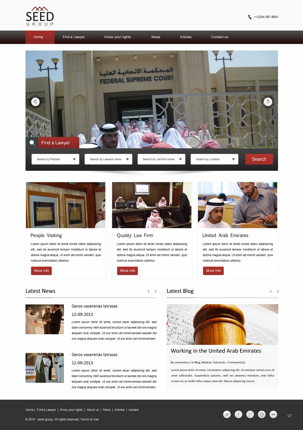 Web Design by pb for Seed Tech Software Development L.L.C | Design #3179184