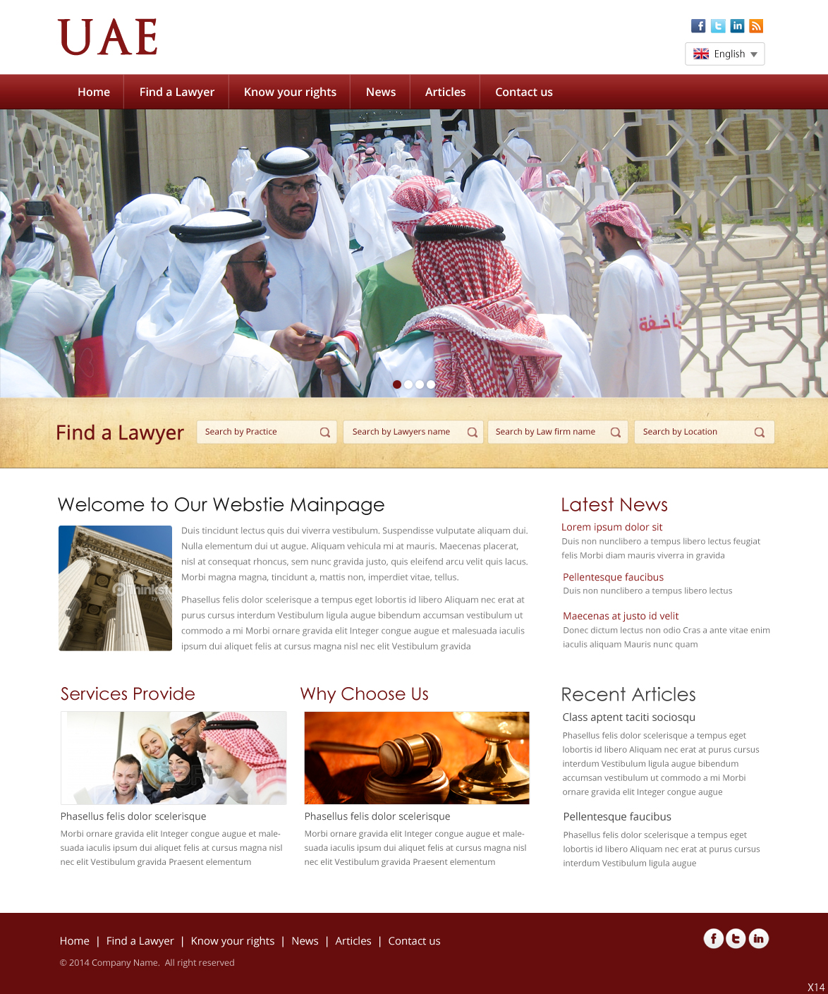 Web Design by pb for Seed Tech Software Development L.L.C | Design #3179189