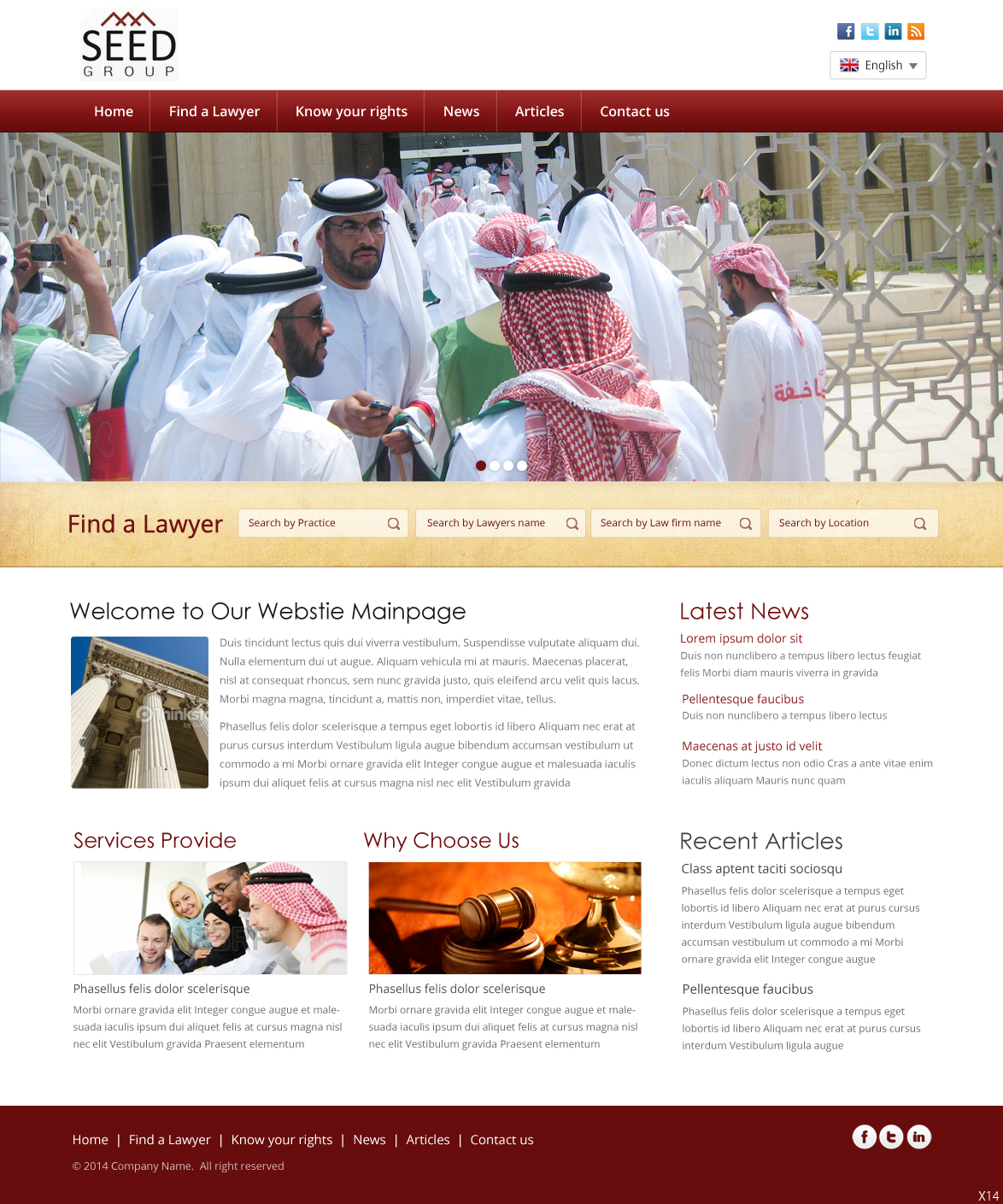 Web Design by pb for Seed Tech Software Development L.L.C | Design #3186571