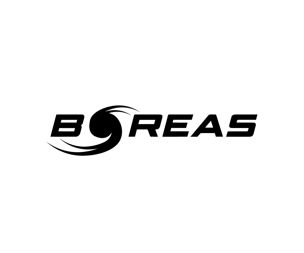 Logo Design by AizerDS for this project | Design #3309844