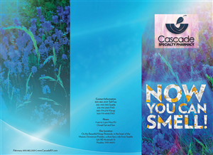 Brochure Design by Kornelija