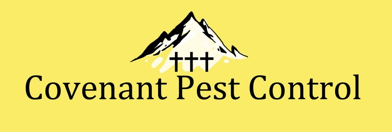 Logo Design by Ignis for this project | Design #3175132