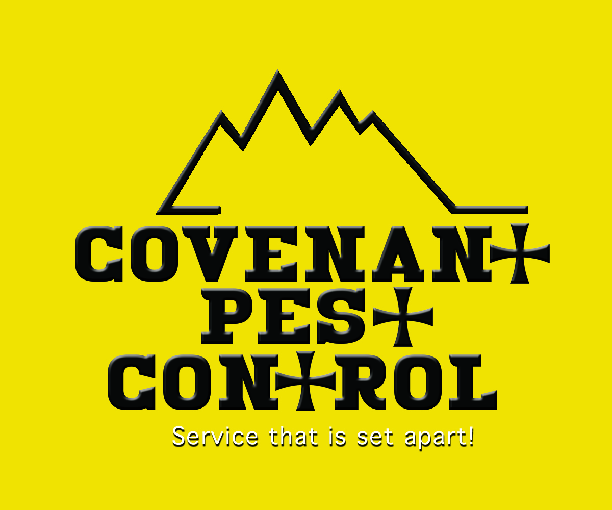 Logo Design by sabinokevz for this project | Design #3203731