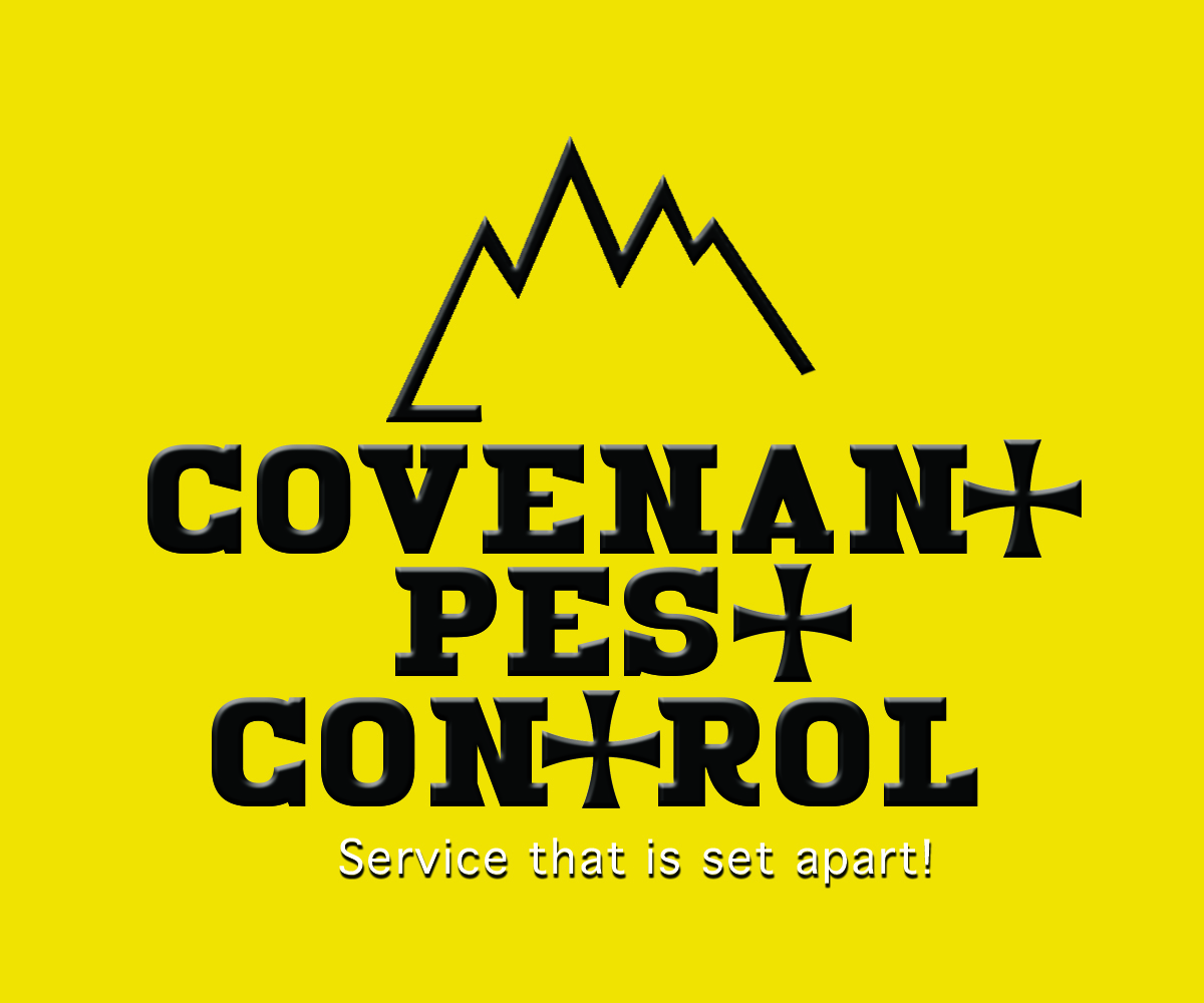 Logo Design by sabinokevz for this project | Design #3203737