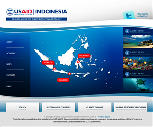 Web Design by snitzel