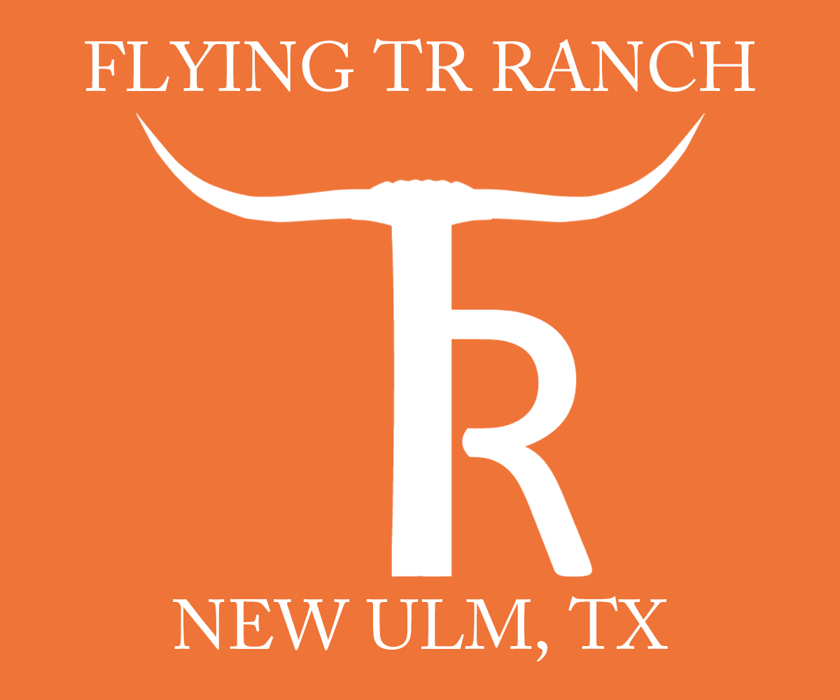 Logo Design by Rome for this project | Design #3185895