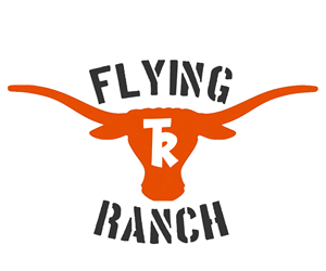 Logo Design by enzo aka "StarvingArtist"