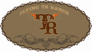 Logo Design by D&D