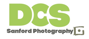Logo Design by Modine Designs