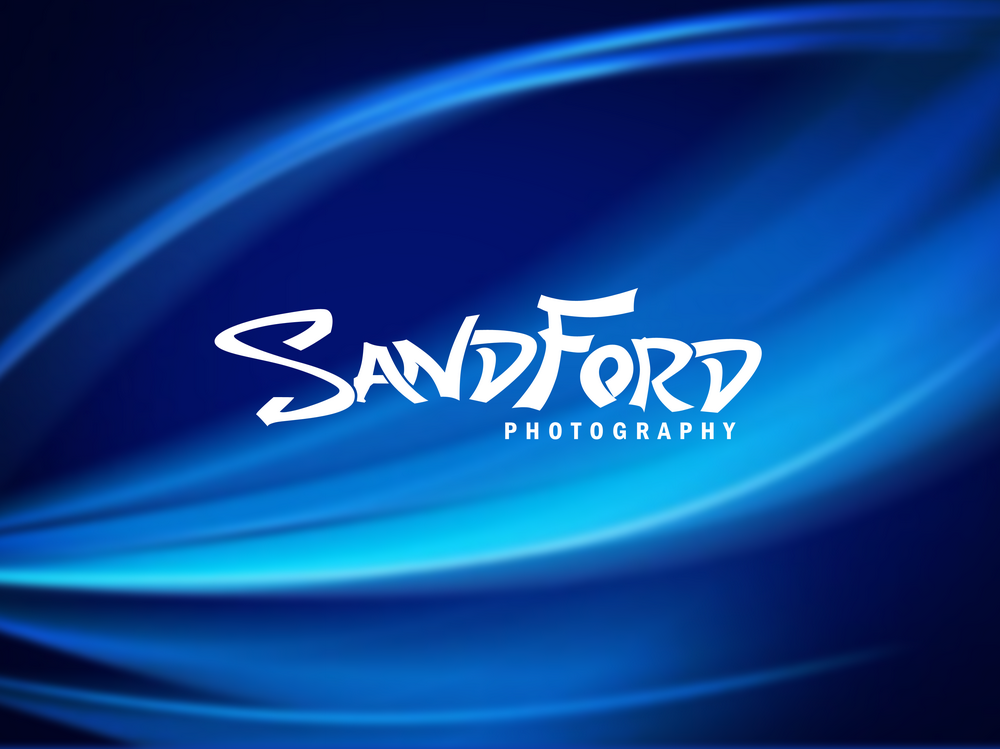 Logo Design by DoveFendi for this project | Design #782650