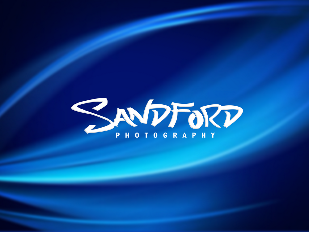 Logo Design by DoveFendi for this project | Design #783087