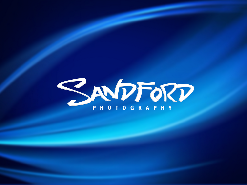 Logo Design by DoveFendi for this project | Design #784761