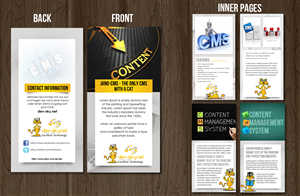 Advertising Flyer for a new Content Management System (Software)