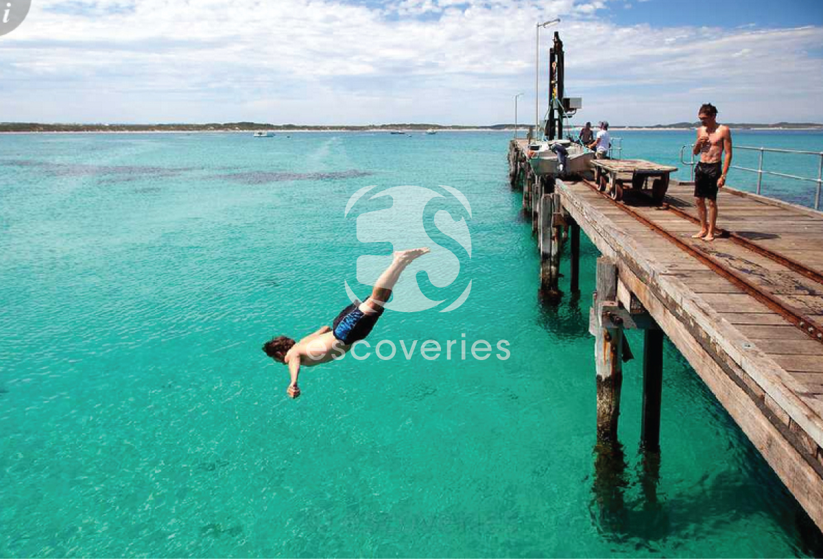 Logo Design by iMajiku for Escoveries Oy | Design #3219506