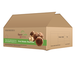 Packaging Design by vaby87