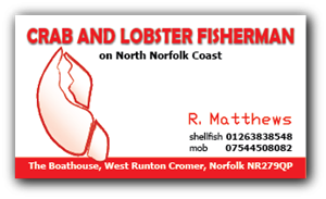 Business Card Design by Milager