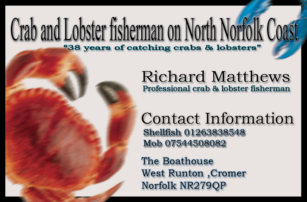Business Card Design by Frazzle Inc for this project | Design #3219051