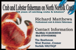 Business Card Design by Frazzle Inc