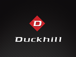 Logo Design by RAW