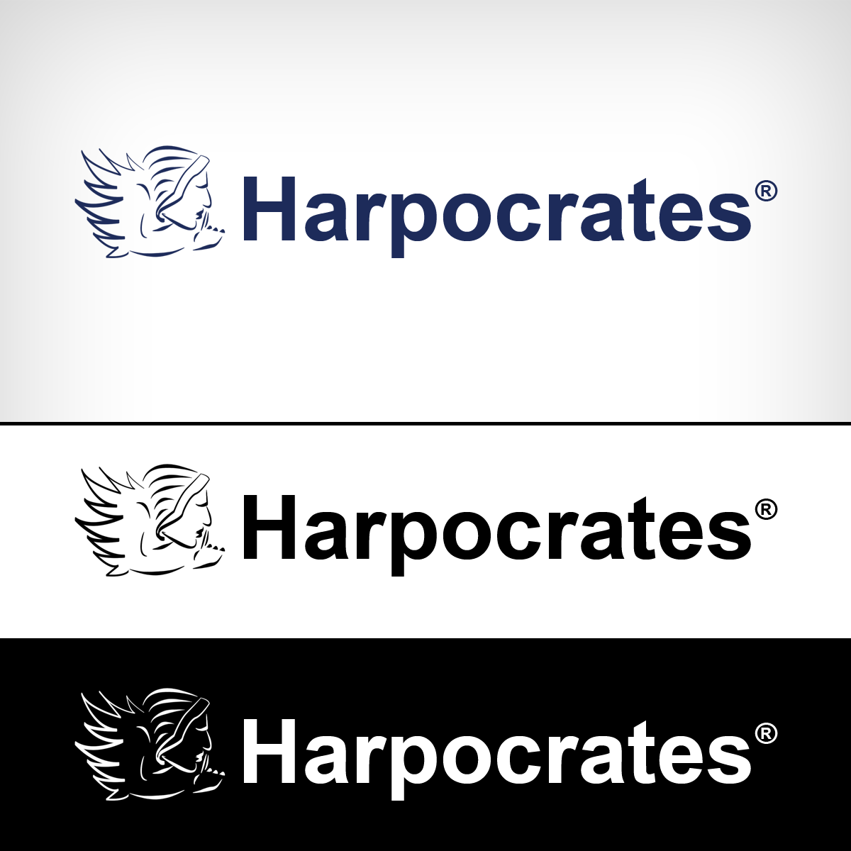 Logo Design by harpcab for Caerus Investment Management (CZ) s.r.o. | Design #3384369