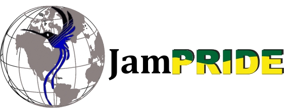 Logo Design by Georgiana Angheloiu for this project | Design #3217011