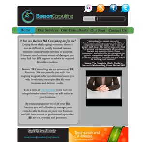 Web Design by BraverDesign for this project | Design: #778992