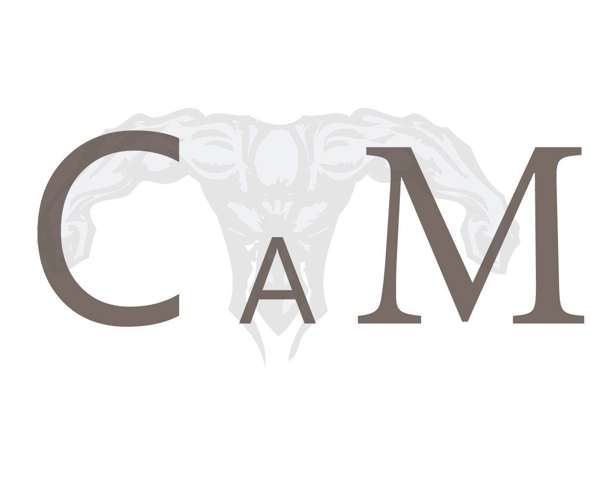 Diseño de Logo por CruzoR para este proyecto | Diseño #3262305