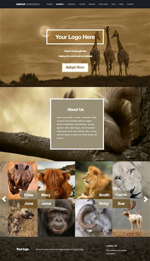 Web Design by Ding
