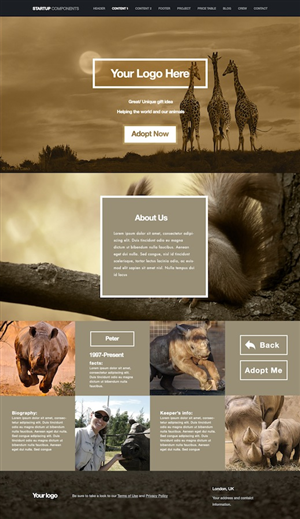 Web Design by Ding for this project | Design: #3204364