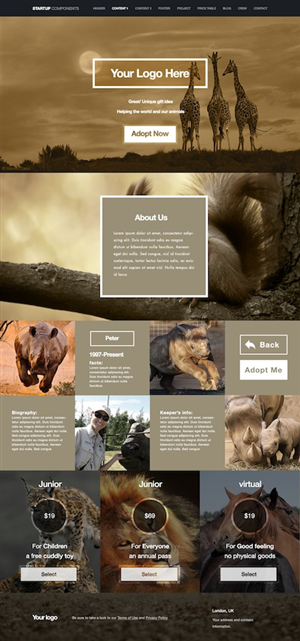 Web Design by Ding for this project | Design: #3204366