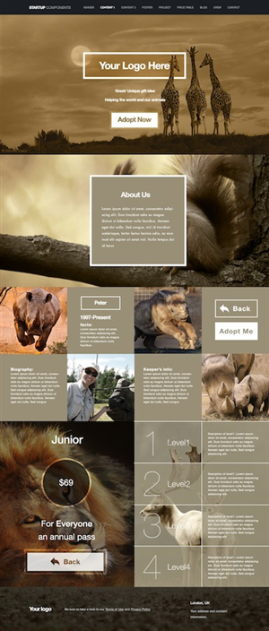 Web Design by Ding for this project | Design: #3204370