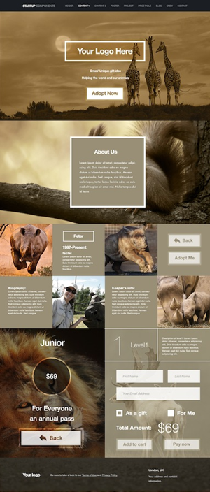 Web Design by Ding for this project | Design: #3204381