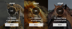 Web Design by Ding for this project | Design: #3210540