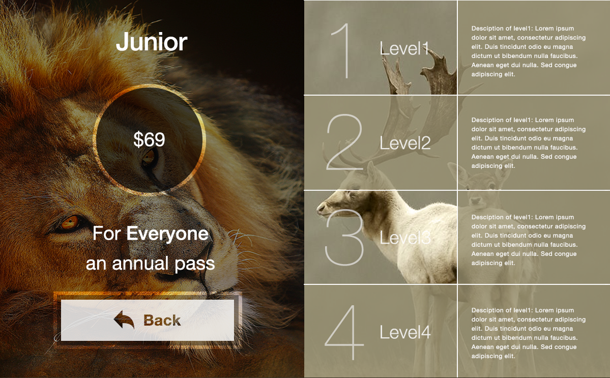 Web Design by Ding for this project | Design #3210547