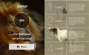 Web Design by Ding for this project | Design: #3210547