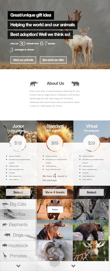 Web Design by Ding for this project | Design #3233227