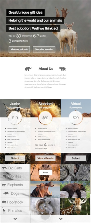 Web Design by Ding for this project | Design: #3233227