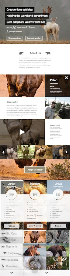 Web Design par Ding pour ce projet | Design #3233422
