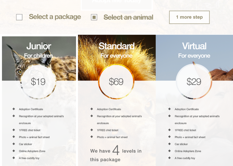 Web Design by Ding for this project | Design #3233481