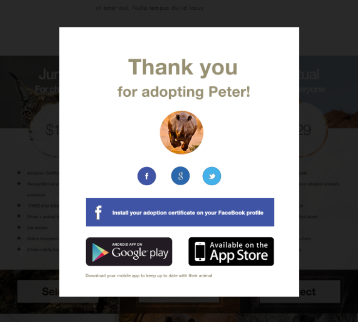 Web Design by Ding for this project | Design #3233726
